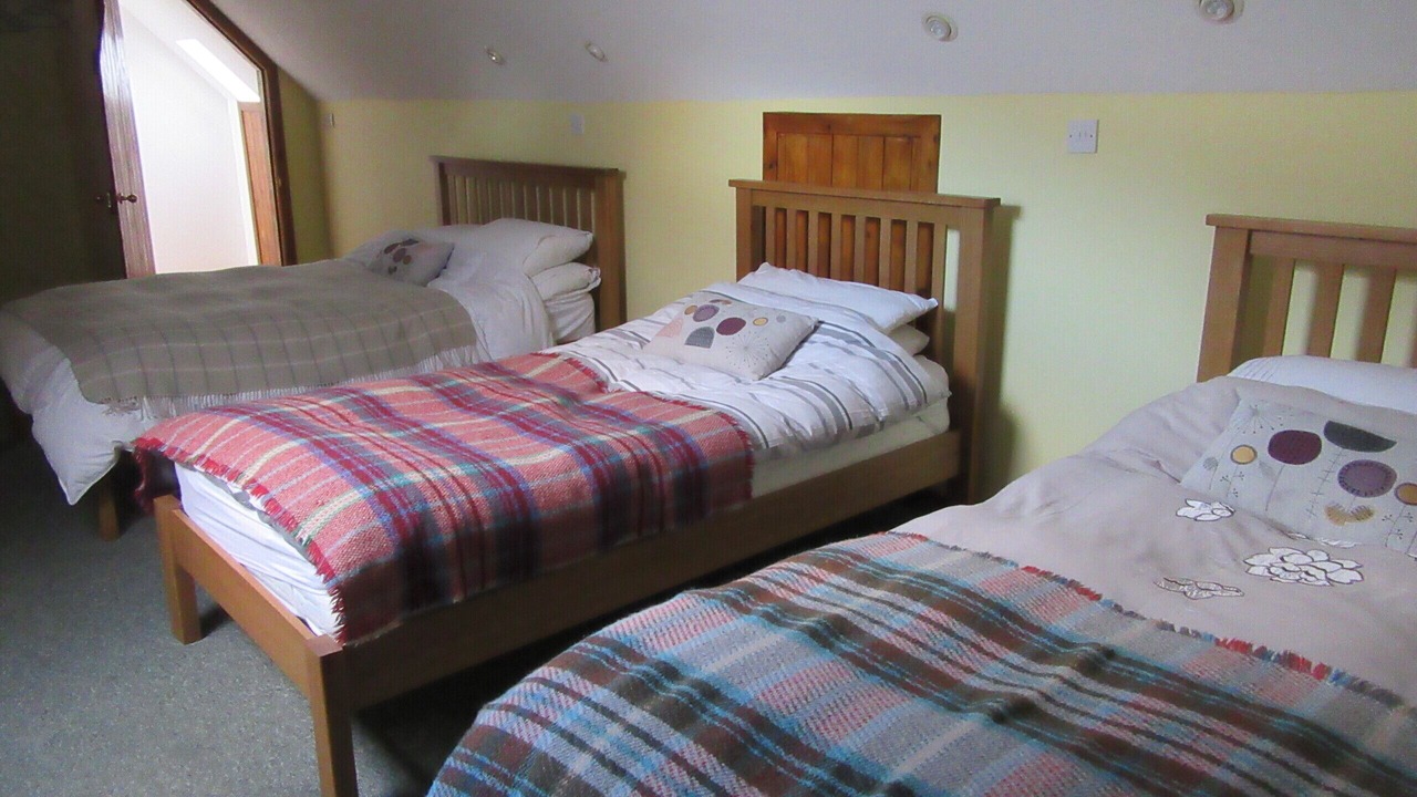 Photo of Others in Fortrose