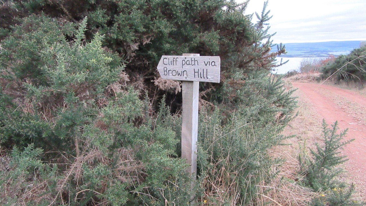 Photo of Others in Fortrose