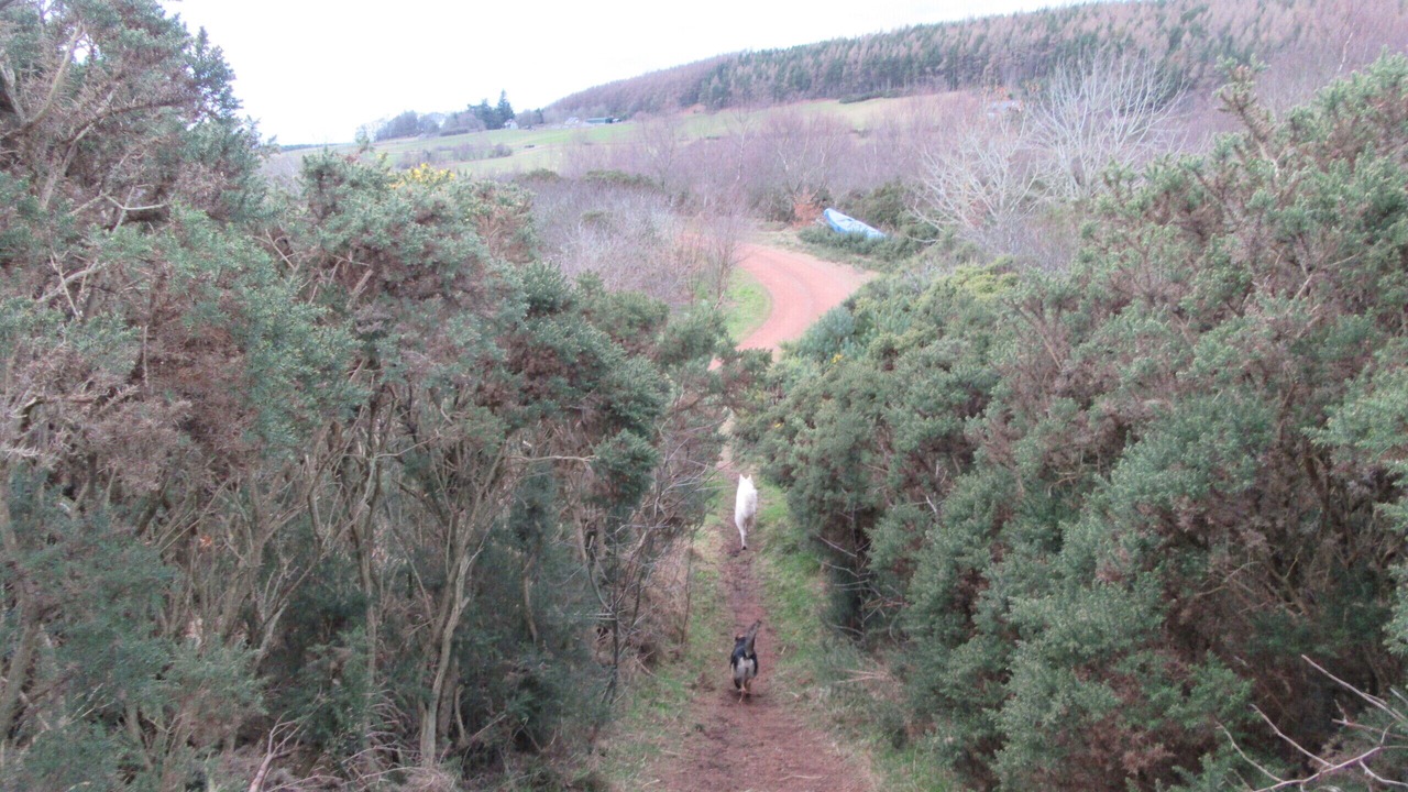 Photo of Others in Fortrose