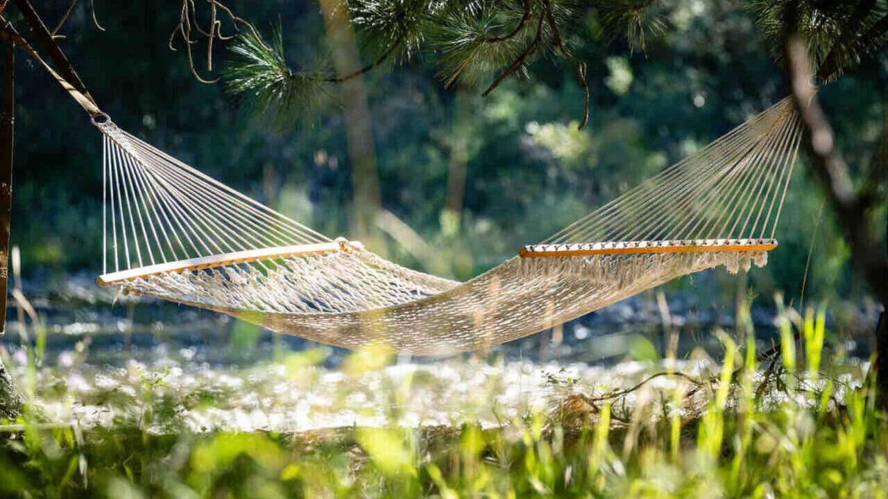 Photo of Others in Darby