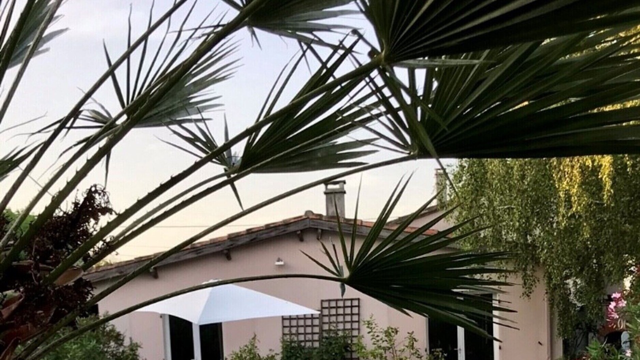 Photo of Outdoor in Lisle-sur-Tarn