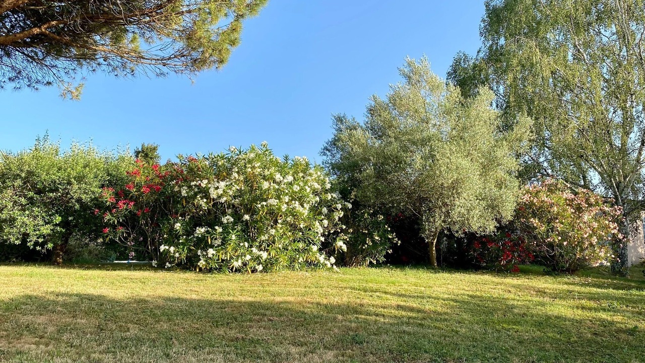 Photo of Outdoor in Lisle-sur-Tarn