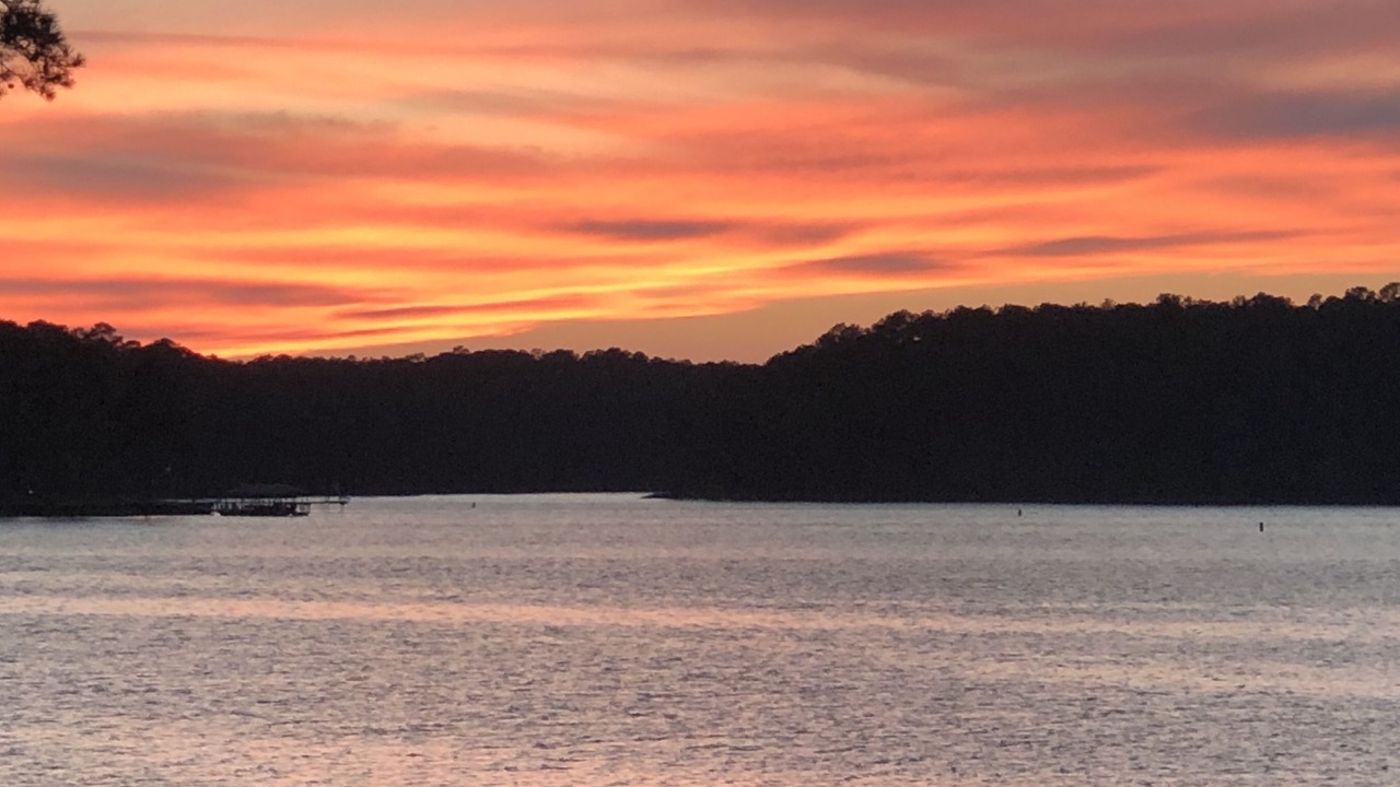Photo of Others in South Toledo Bend