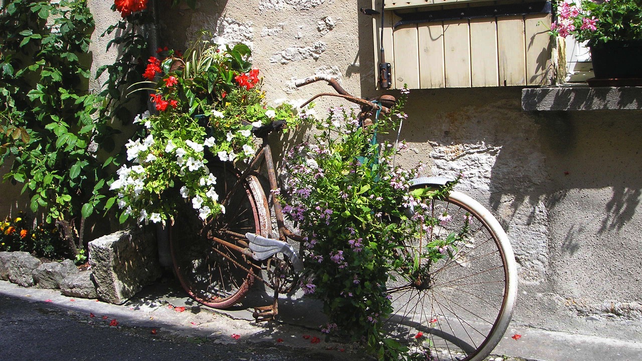 Photo of Others in Monflanquin