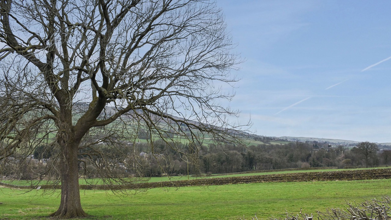 Photo of Others in Boscundle