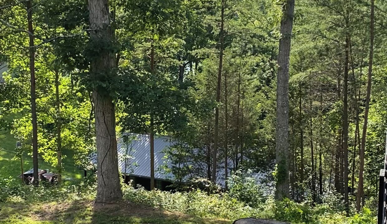 Photo of Outdoor in Speedwell