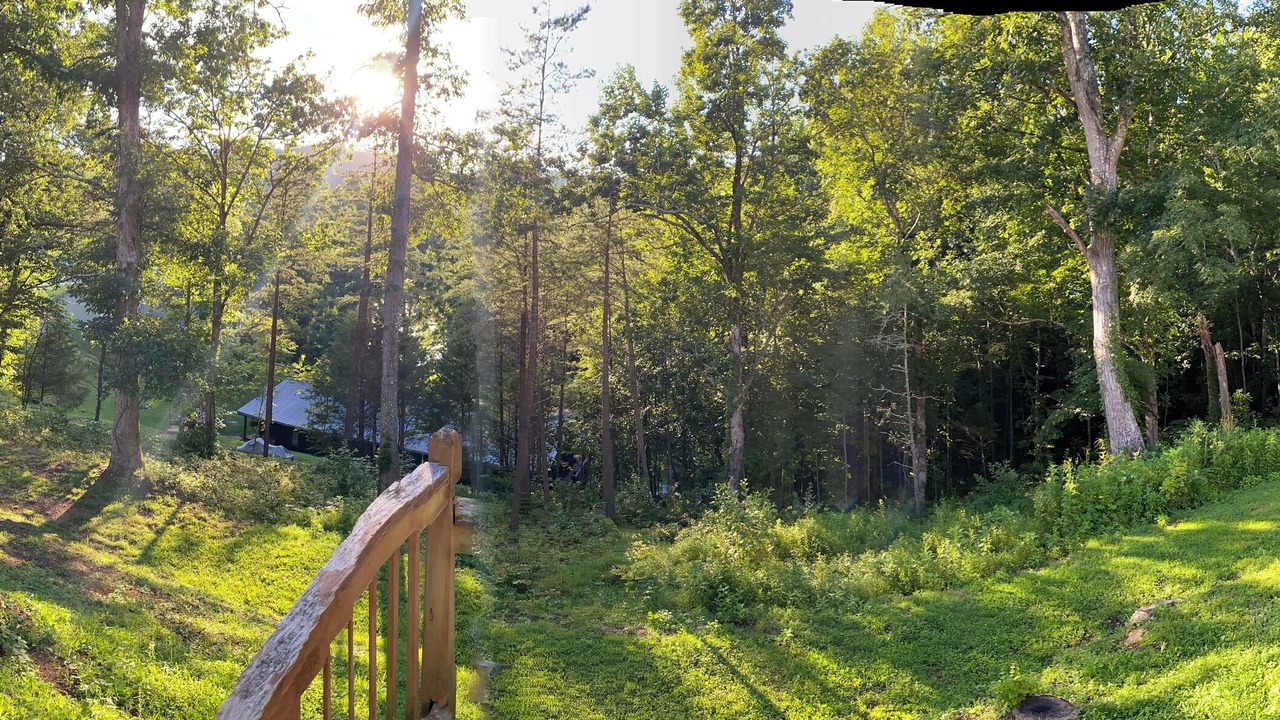 Photo of Outdoor in Speedwell