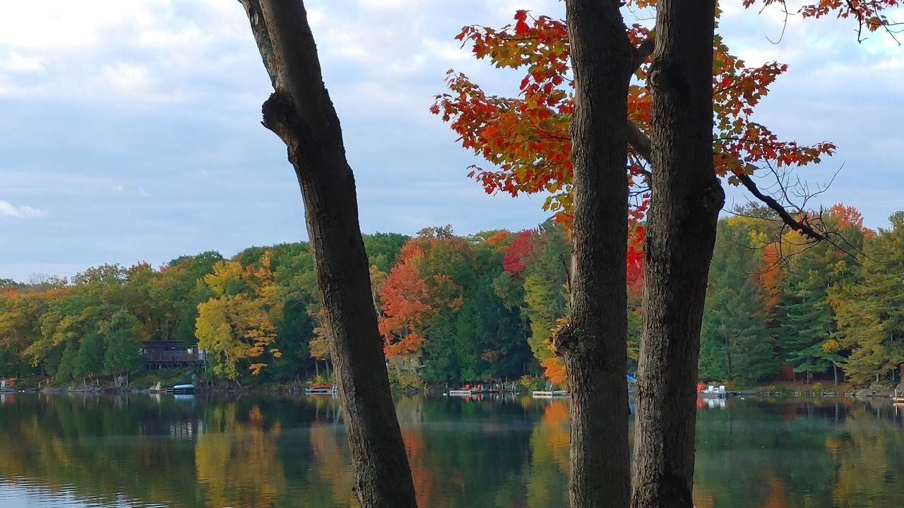 Photo of Others in Muskoka Lakes