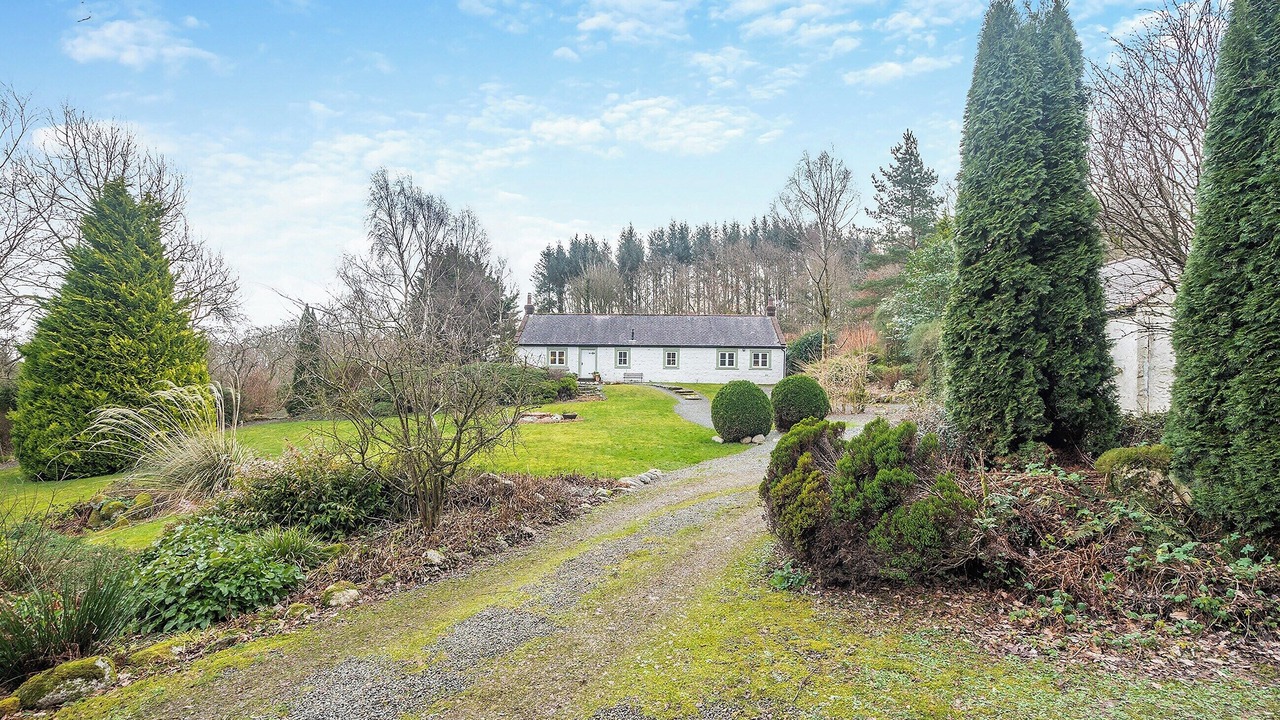 Photo of Outdoor in Bankend