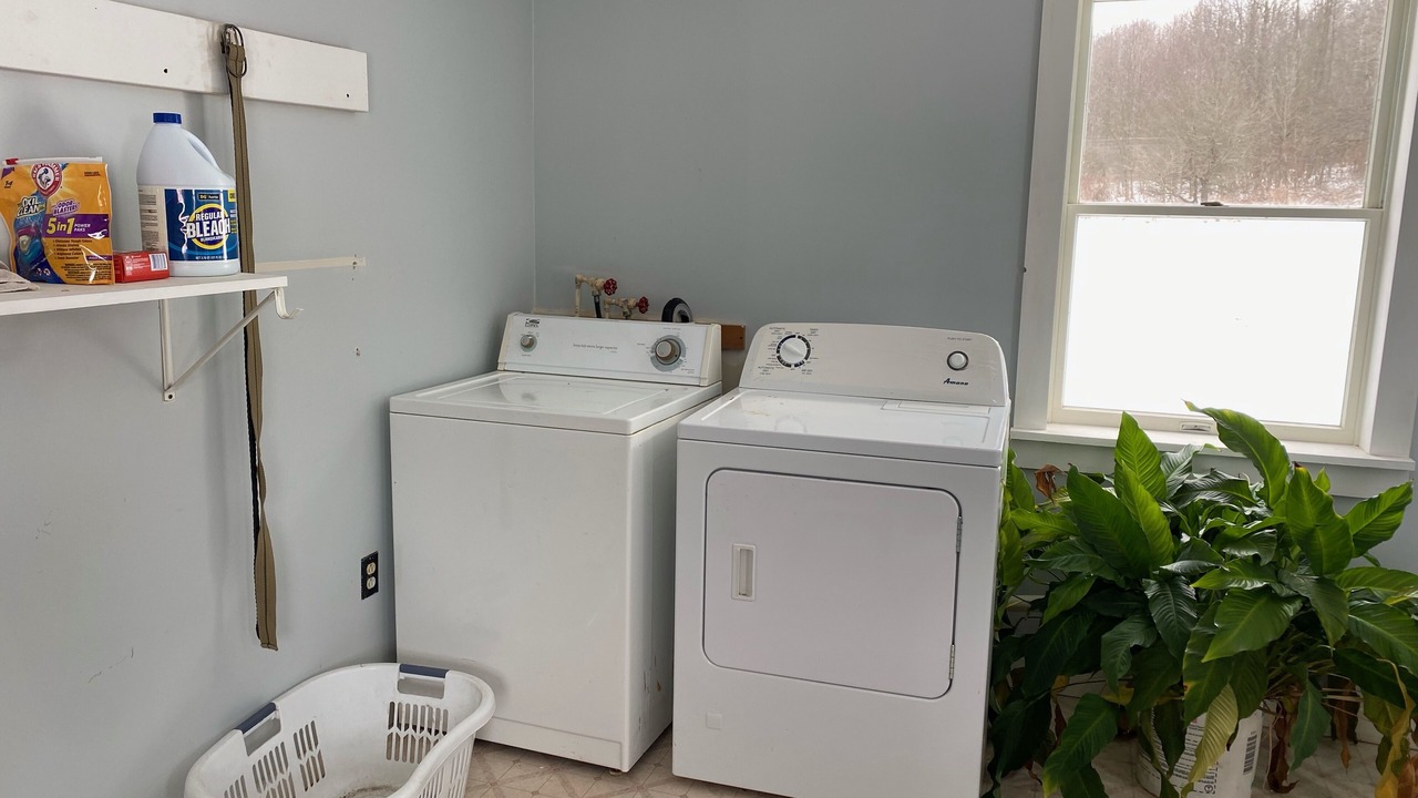 Photo of Others in Mills