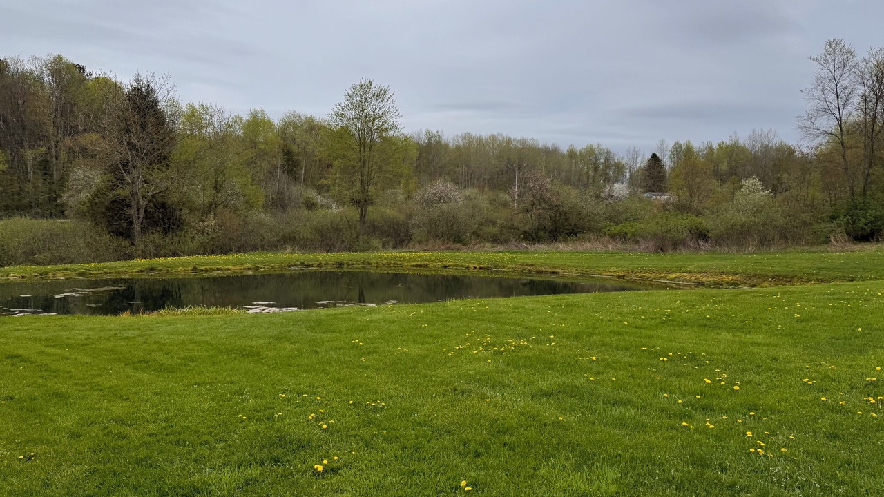 Photo of Others in Mills