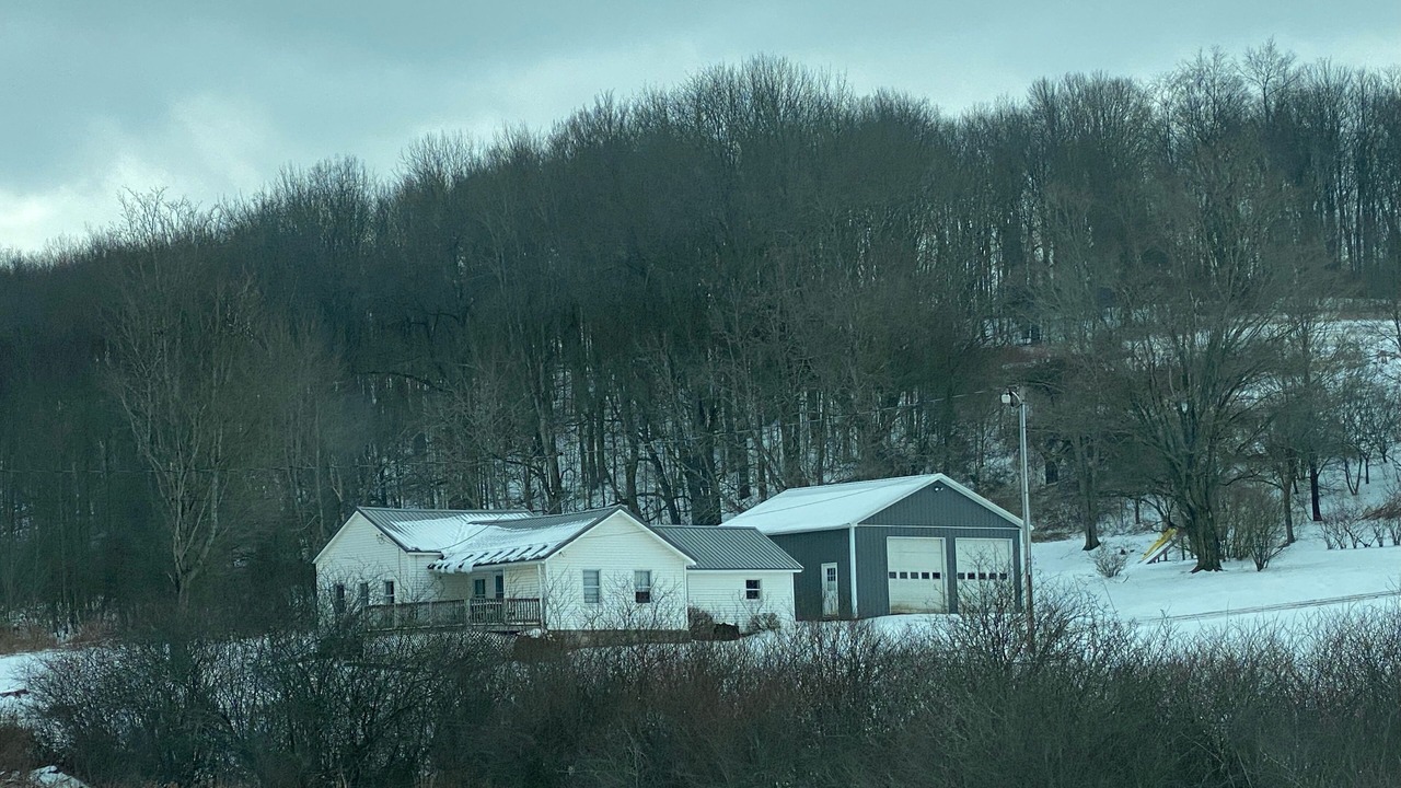 Photo of Others in Mills