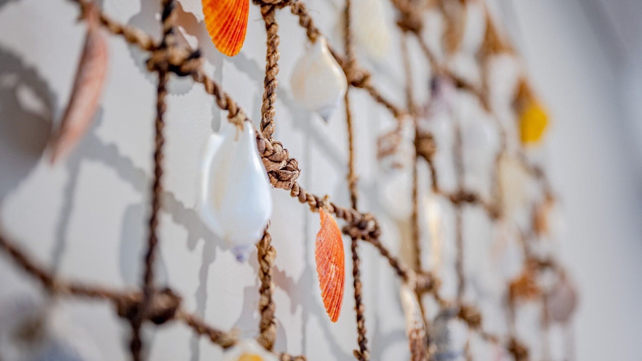 Photo of Others in Noraville