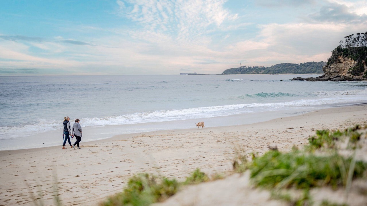 Photo of Others in Noraville