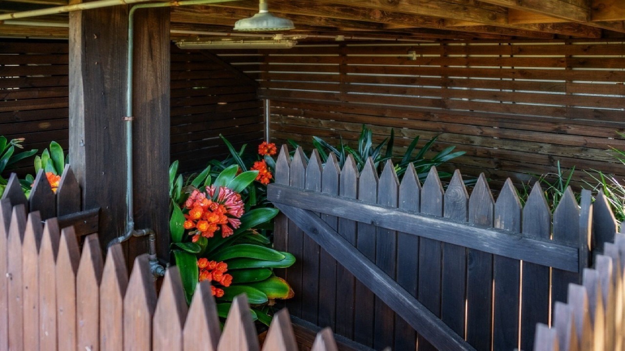 Photo of Outdoor in Noraville