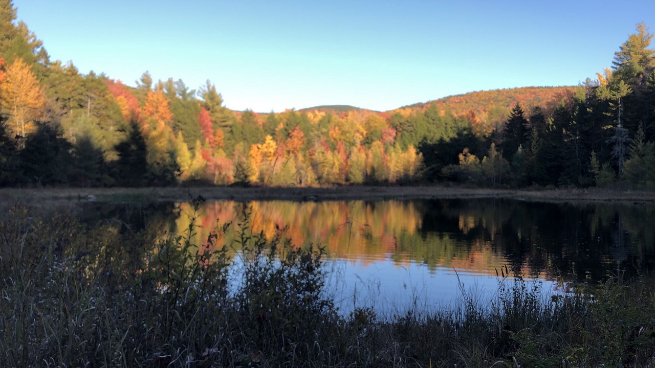 Photo of Outdoor in Goshen