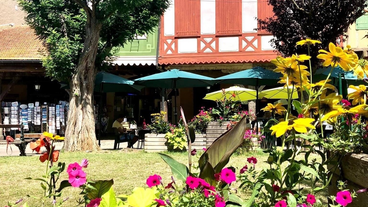 Photo of Outdoor in Mirepoix