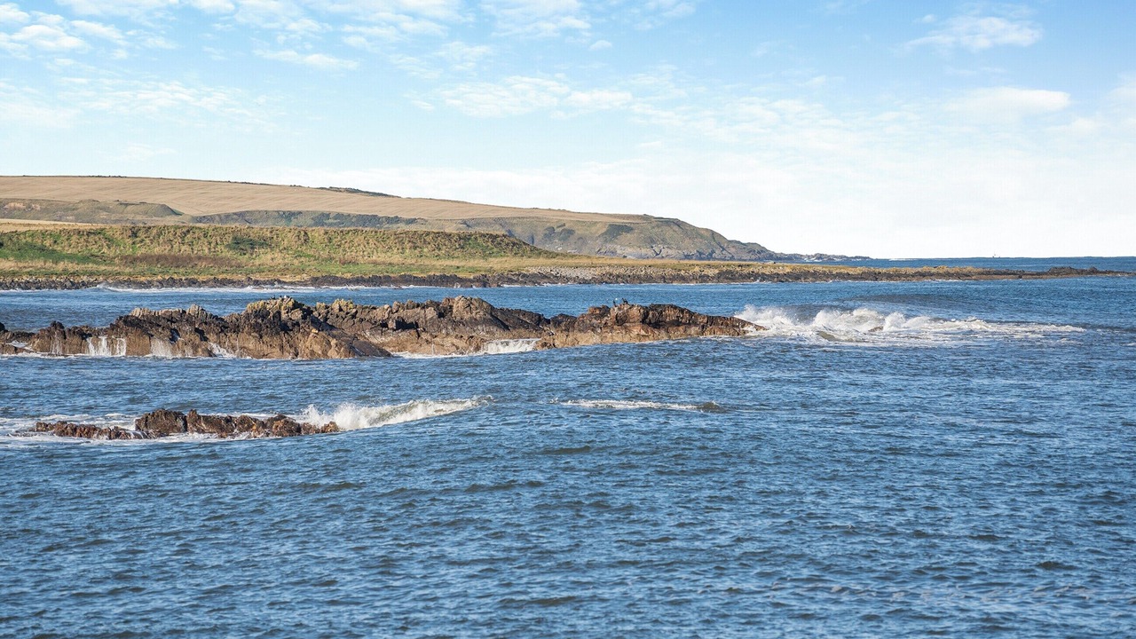 Photo of Others in Banff