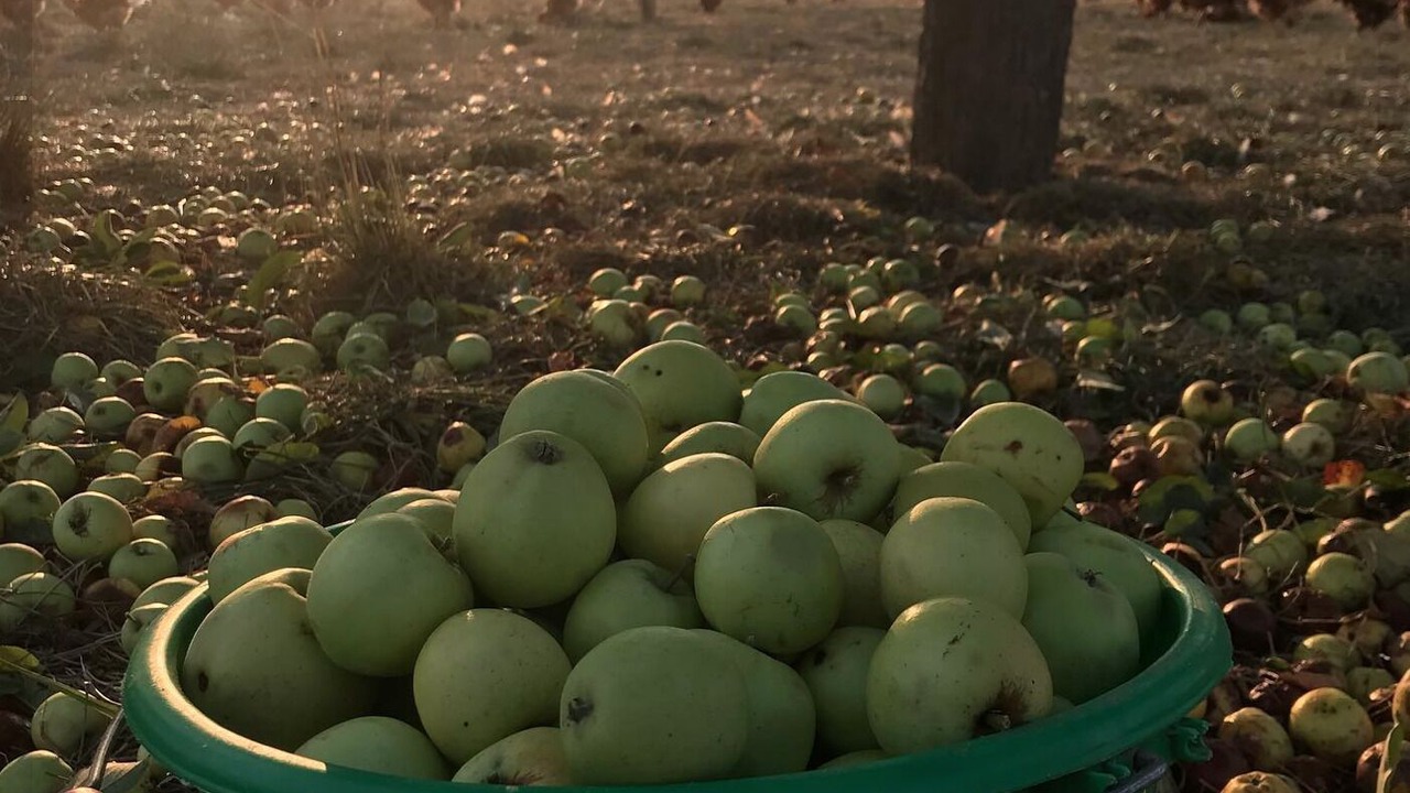 Photo of Outdoor in Vallon-sur-Gee