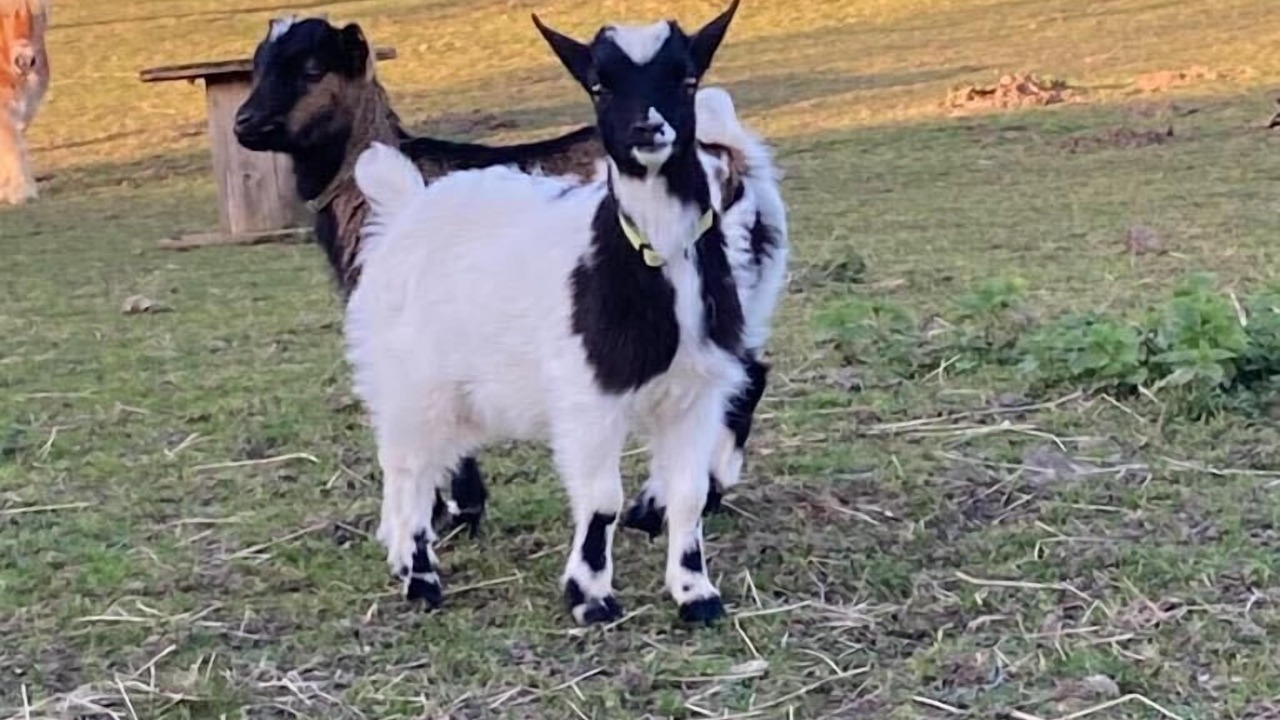 Photo of Others in Vallon-sur-Gee