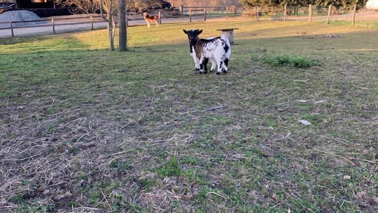 Photo of Others in Vallon-sur-Gee