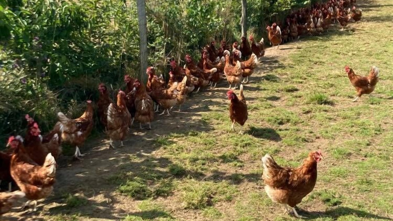 Photo of Outdoor in Vallon-sur-Gee