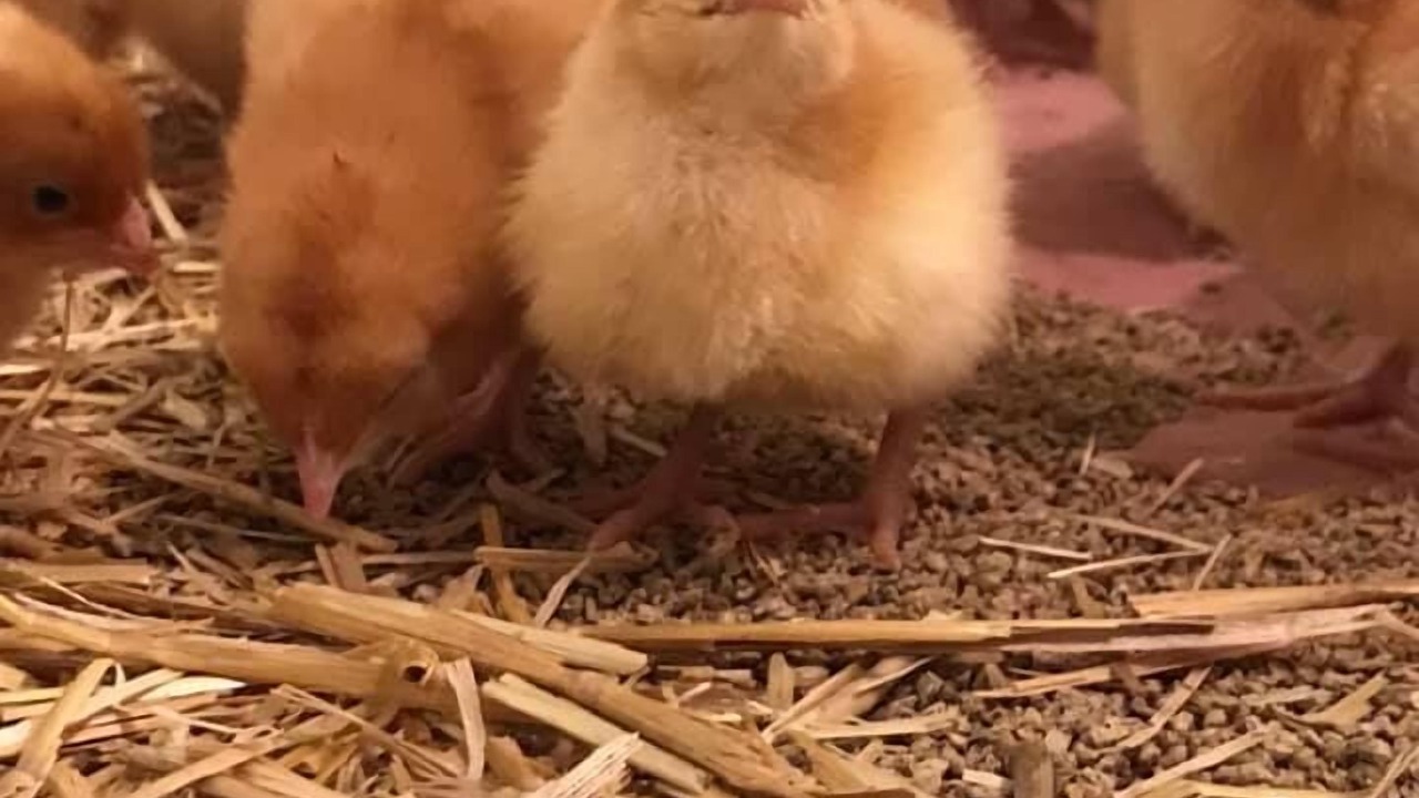 Photo of Outdoor in Vallon-sur-Gee