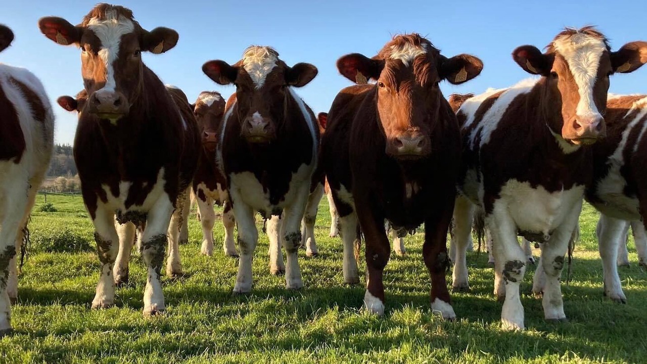 Photo of Outdoor in Vallon-sur-Gee