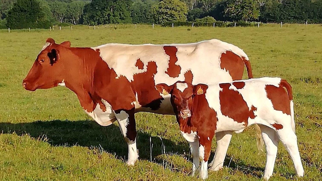 Photo of Outdoor in Vallon-sur-Gee