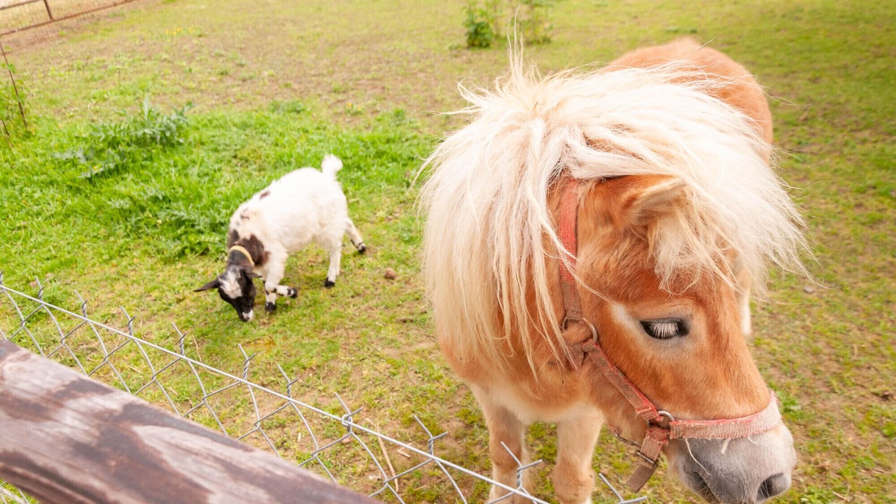 Photo of Outdoor in Vallon-sur-Gee