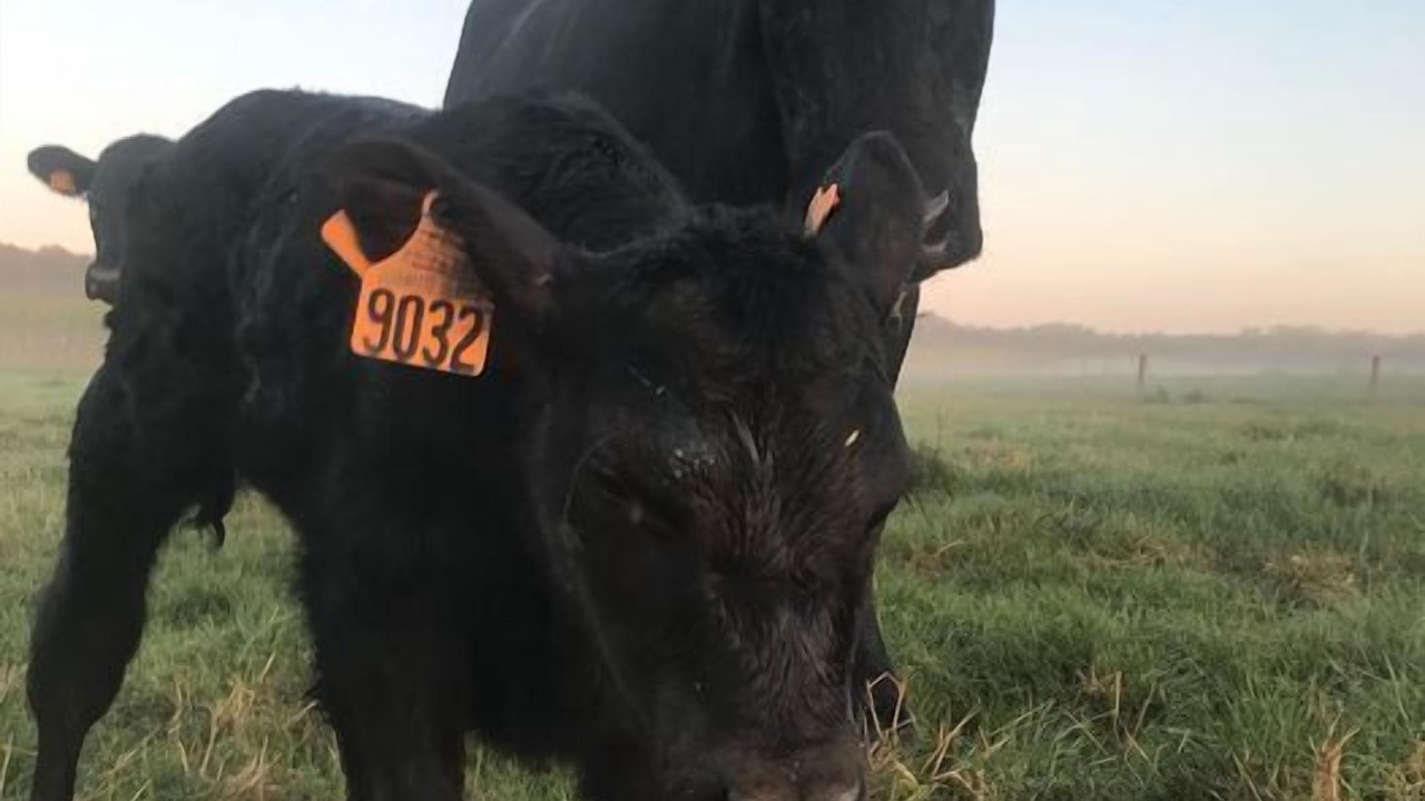 Photo of Others in Vallon-sur-Gee