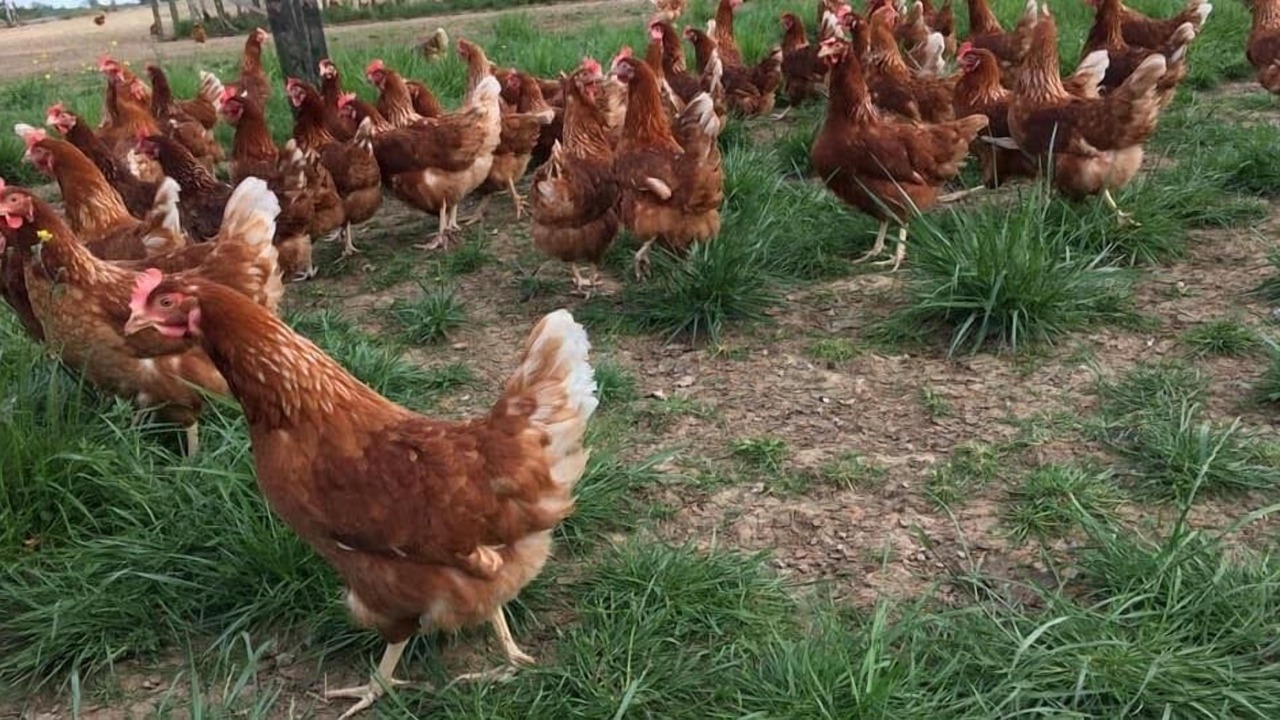 Photo of Outdoor in Vallon-sur-Gee