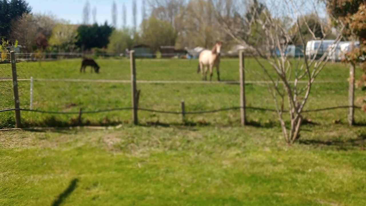 Photo of Outdoor in Puyoo