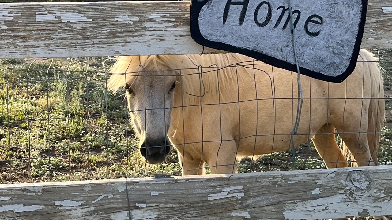 Photo of Outdoor in Uvalde