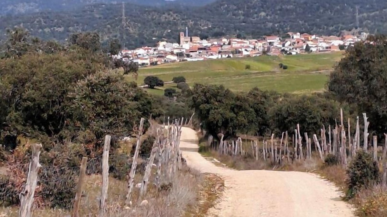 Photo of Others in Garciotum