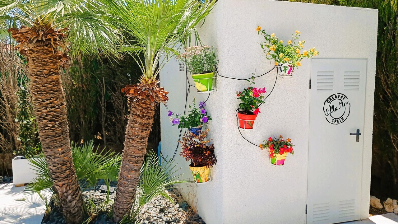 Photo of Outdoor in Calafat