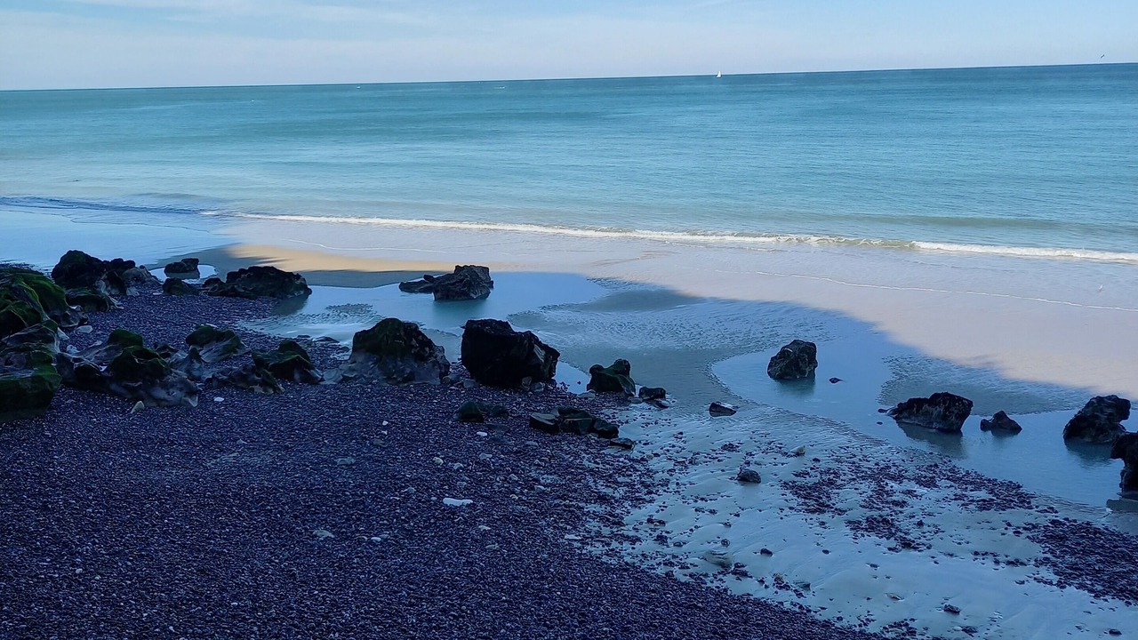 Photo of Others in Varengeville-sur-Mer