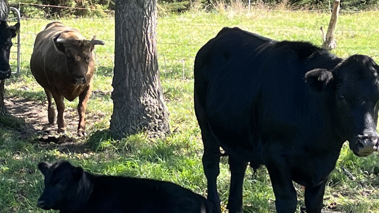 Photo of Outdoor in Sefton