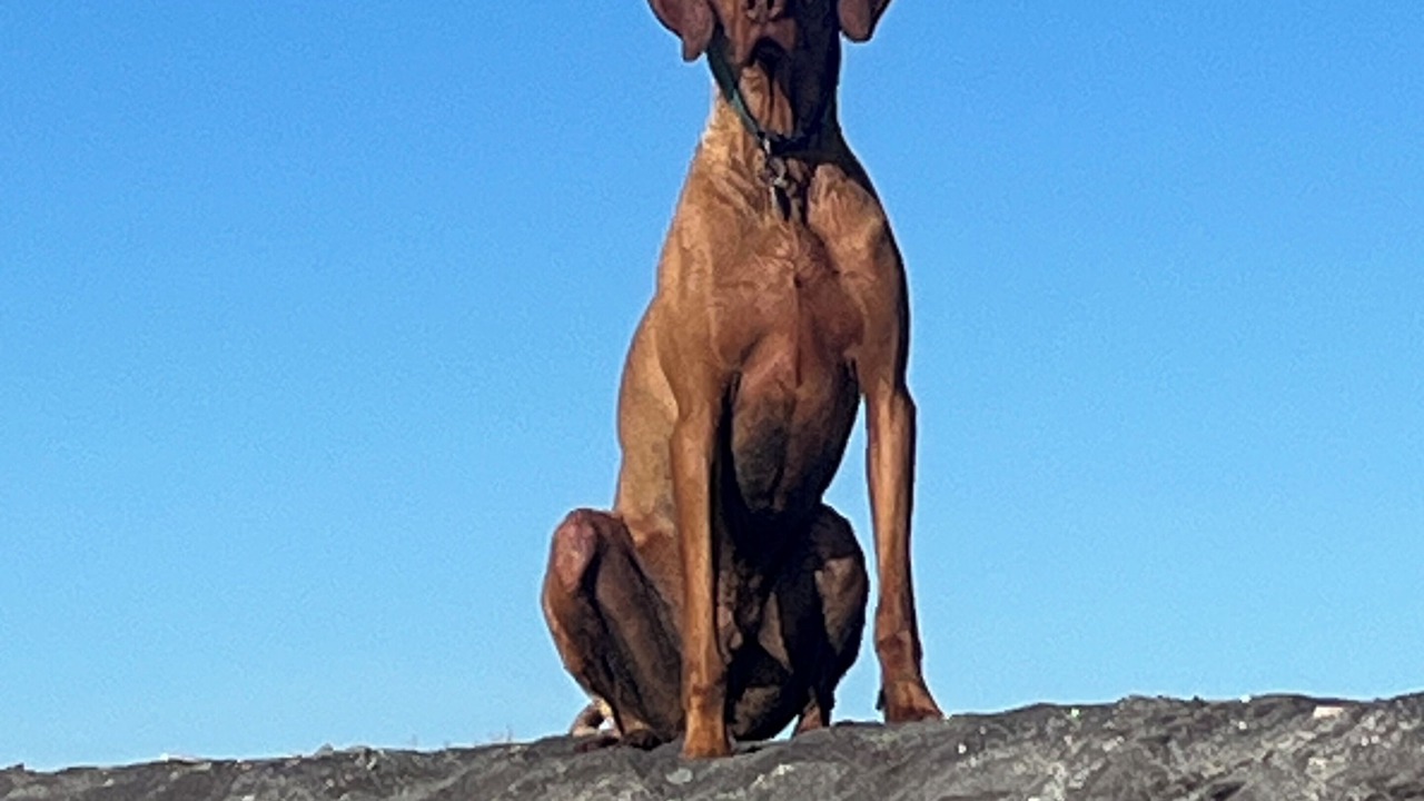 Photo of Others in Sefton