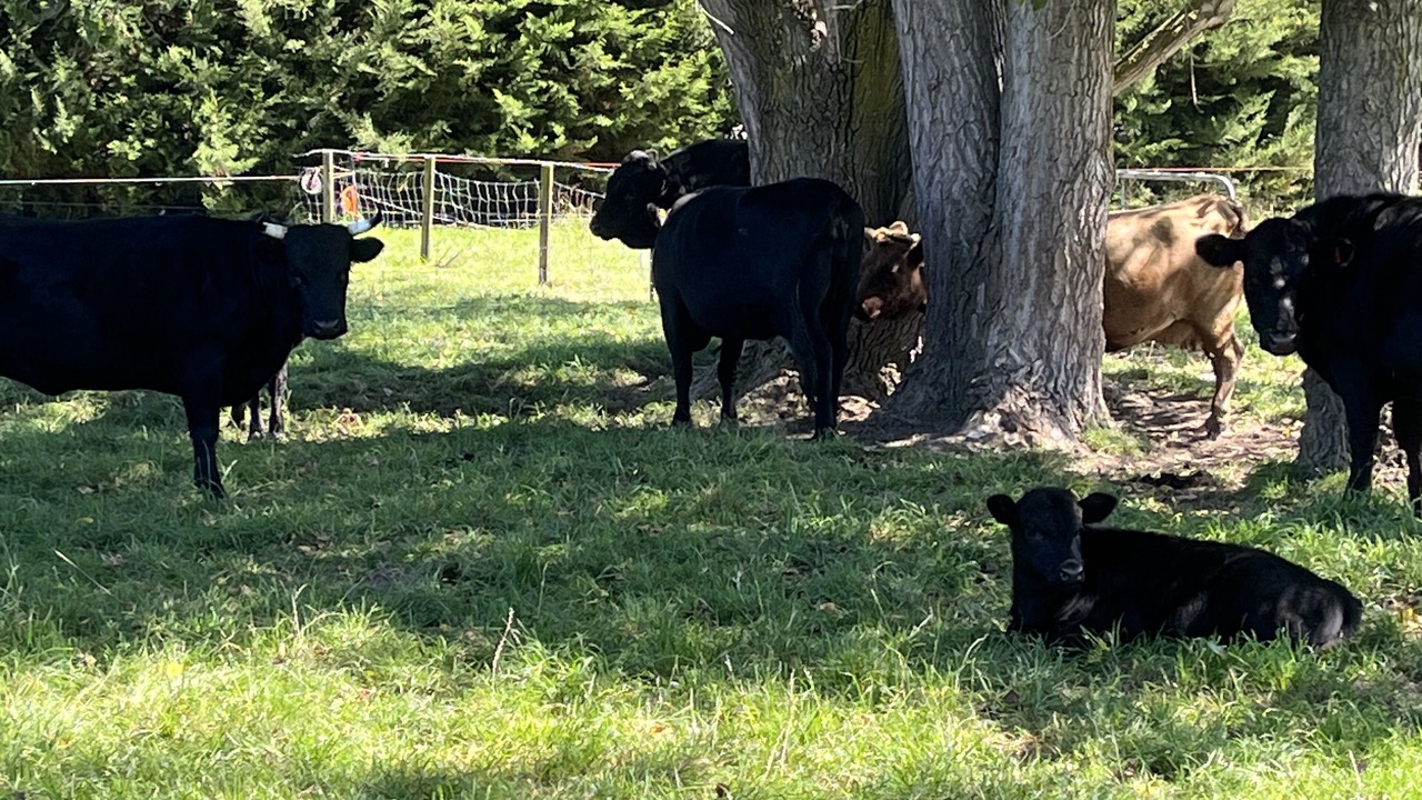 Photo of Outdoor in Sefton