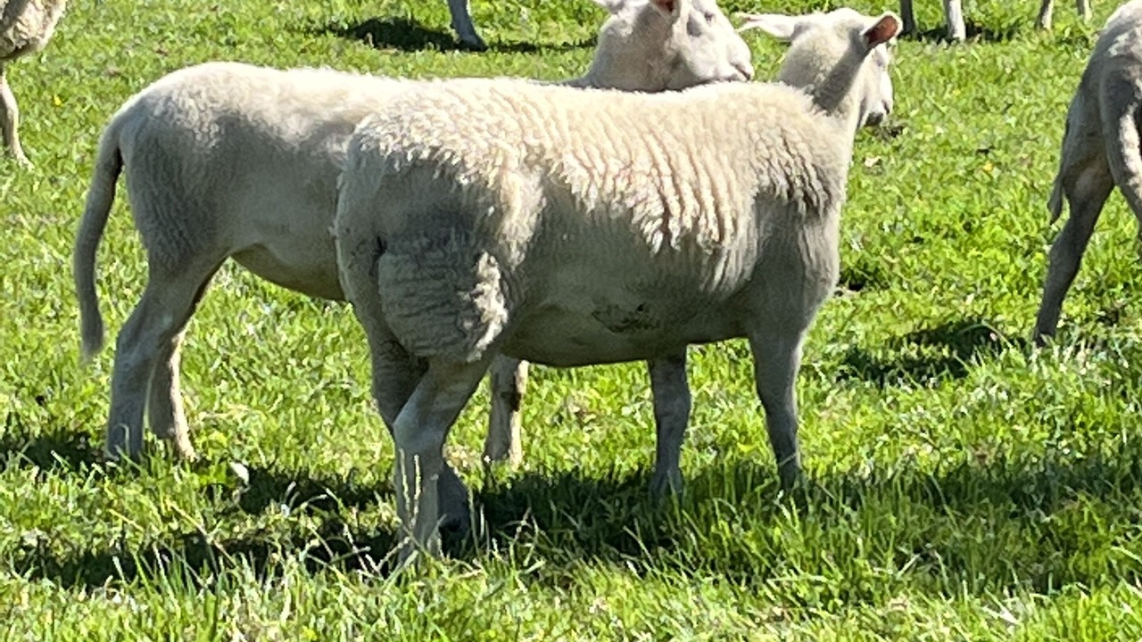 Photo of Outdoor in Sefton