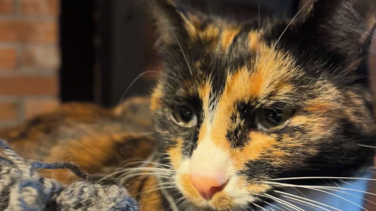 Photo of Others in Sefton