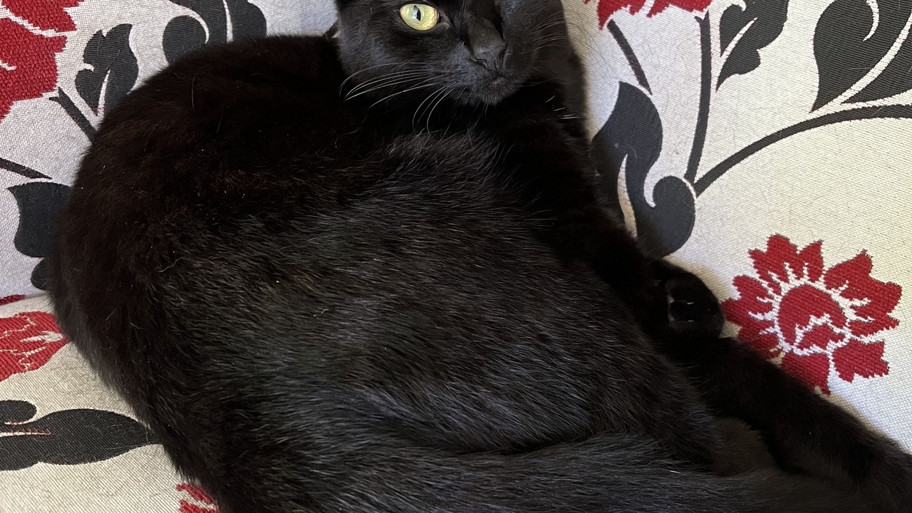 Photo of Others in Sefton