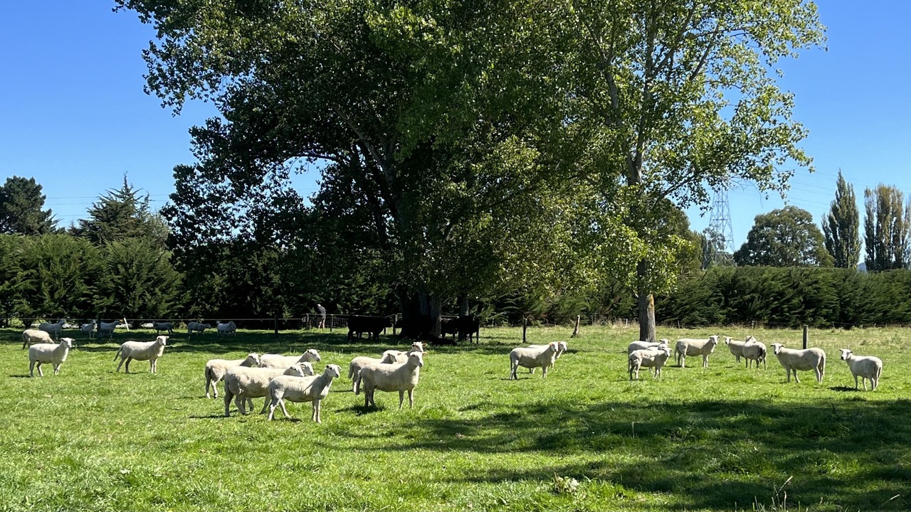 Photo of Outdoor in Sefton