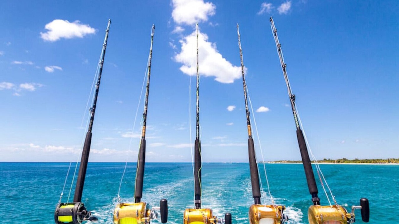 Photo of Others in Bridgeport Heights