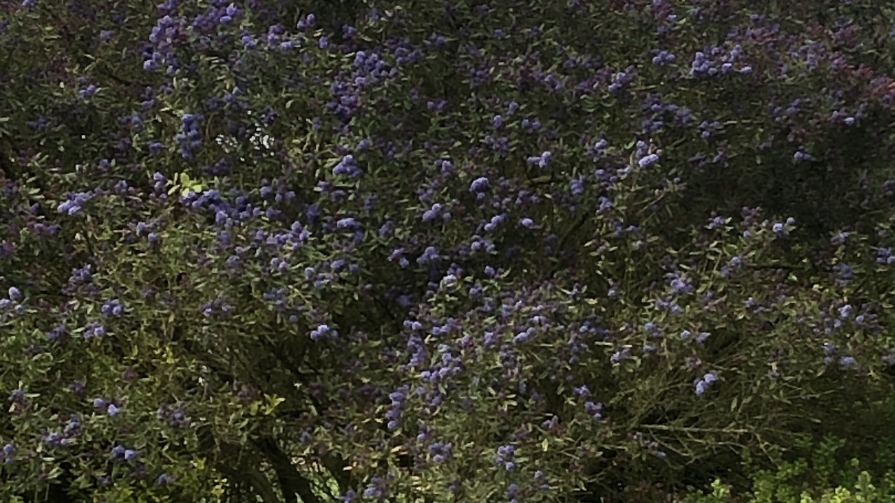 Photo of Outdoor in Doingt