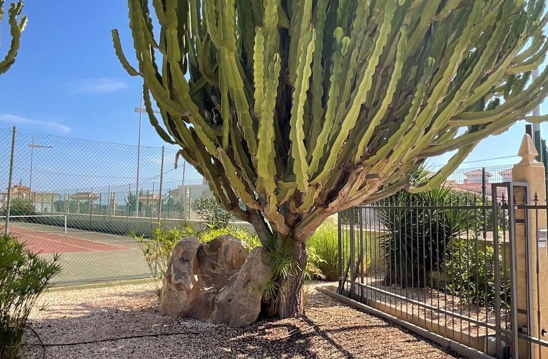 Photo of Outdoor in Palomares