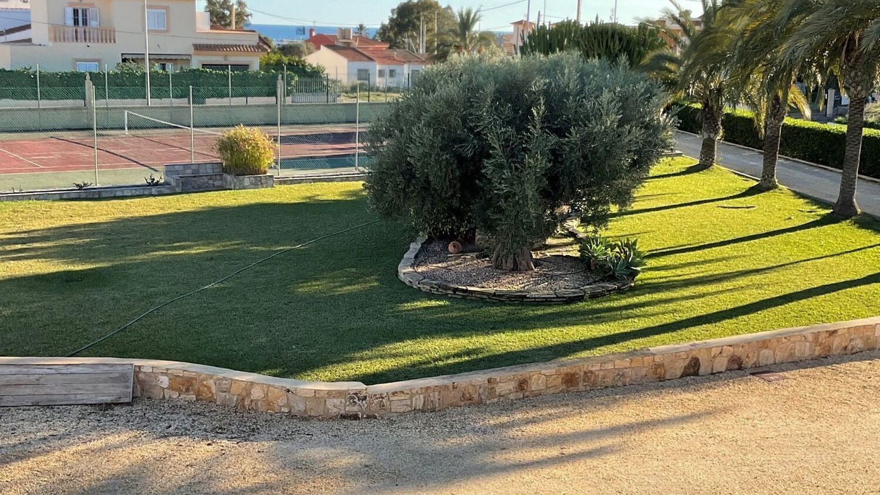 Photo of Others in Palomares