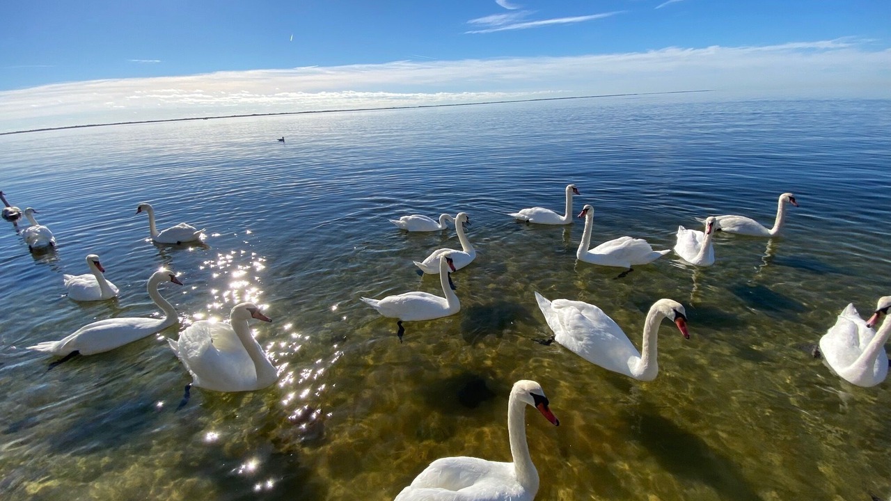 Photo of Others in Long Island