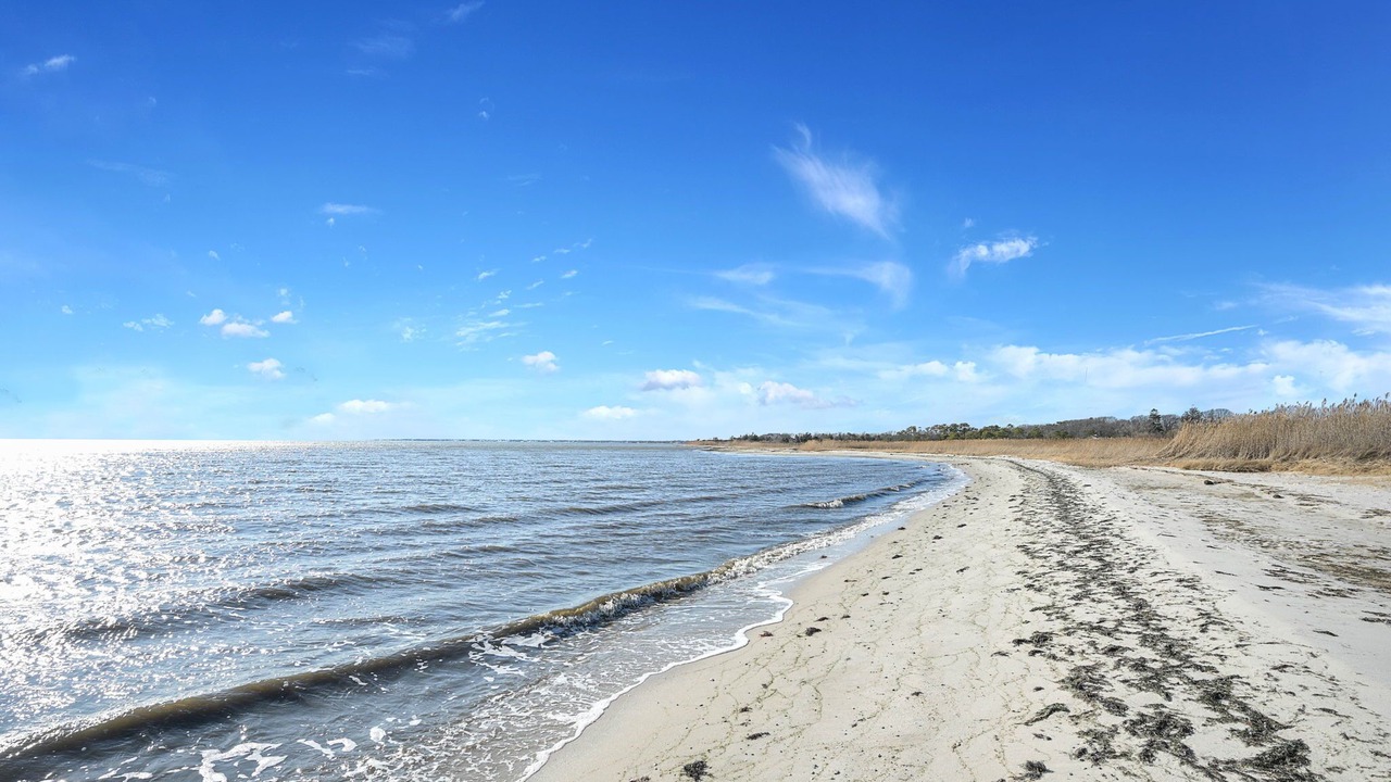 Photo of Others in Long Island